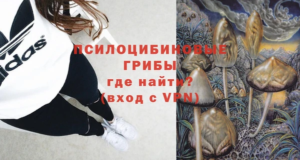 ПСИЛОЦИБИНОВЫЕ ГРИБЫ Костерёво