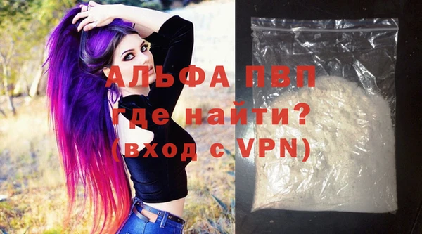 ПСИЛОЦИБИНОВЫЕ ГРИБЫ Костерёво