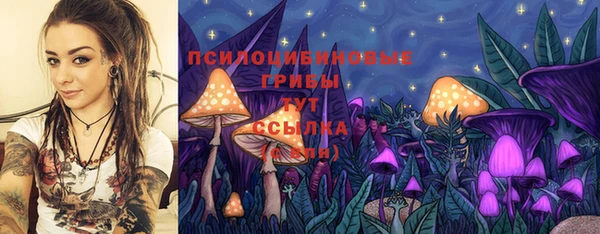 ПСИЛОЦИБИНОВЫЕ ГРИБЫ Костерёво