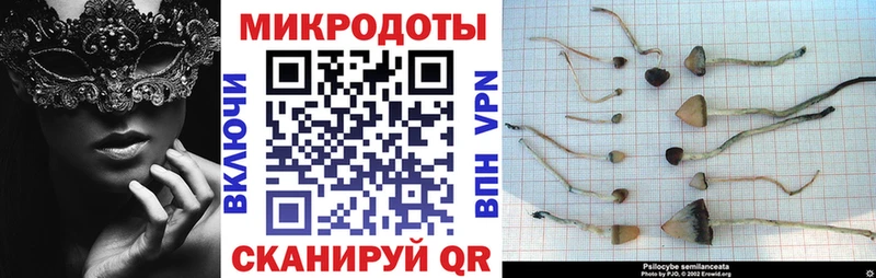 Купить где  Волхов  Псилоцибиновые грибы прущие грибы 