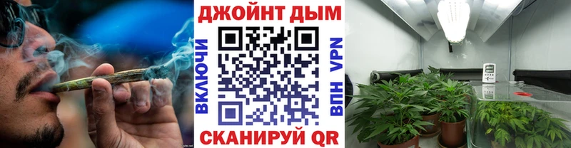 Купить  Волхов  МАРИХУАНА семена 